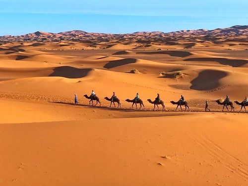 morocco sahara camel riding