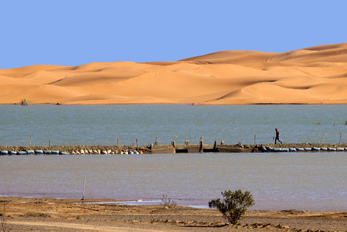 sahara desert